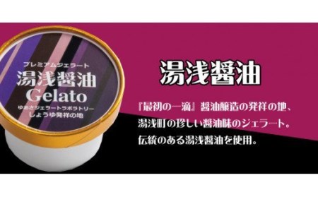 プレミアムジェラート 湯浅醤油12個セット アイスクリームセット 100mlカップ ゆあさジェラートラボラトリー[sutb700-05]