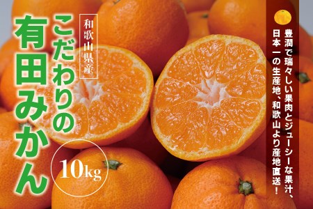 [2024年12月発送予約分][農家直送]こだわりの有田みかん 約10kg+300g(傷み補償分)[ご家庭用] 有機質肥料100% サイズ混合※北海道・沖縄・離島配送不可 / みかん ミカン 有田みかん 柑橘 フルーツ 果物 くだもの みかん 訳あり 和歌山 フルーツ 果物 小玉 甘い 蜜柑 有田 こだわり 訳あり ご家庭用 [nuk101-2C]