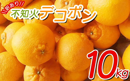 [訳あり]ちょこっと訳あり不知火デコポン 約10kg[ご家庭用] サイズ混合 ※2024年2月中旬より順次発送予定(お届け日指定不可)[nuk121B]