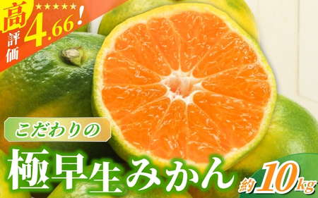 [2025年秋頃発送予約分][農家直送]こだわりの極早生みかん 約10kg [数量限定] 有機質肥料100% サイズ混合 ※2025年9月下旬より順次発送予定(お届け日指定不可)/ みかん 果物 フルーツ くだもの 有田みかん 柑橘[nuk135C]