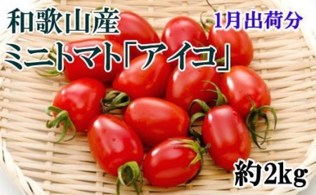 [1月出荷分]和歌山産ミニトマト「アイコトマト」約2kg(S・Mサイズおまかせ)[tec100-1]