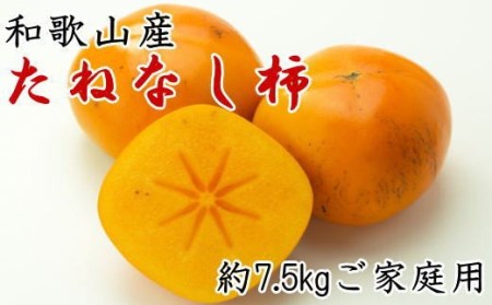 [秋の味覚]和歌山産のたねなし柿ご家庭用約7.5kg※2024年11月上旬〜2024年12月上旬頃に順次発送[tec410A]