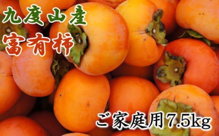 ≪柿の名産地≫九度山の富有柿約7.5kgご家庭用[2024年11月上旬〜2024年12月上旬頃発送]/ 柿 カキ かき くだもの フルーツ 果物 和歌山[tec413A]