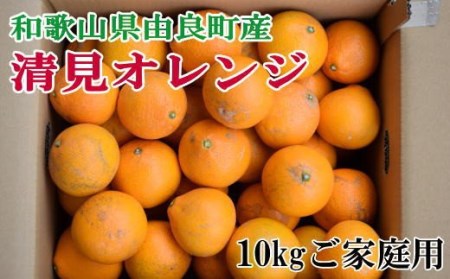 [訳あり・ご家庭用]和歌山由良町産の濃厚清見オレンジ約10kg ★2026年2月中旬〜2026年2月下旬頃順次発送予定 / 果物 くだもの フルーツ 柑橘 オレンジ 和歌山 みかん[tec877A]