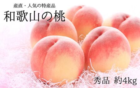 [産直・人気の特産品]和歌山の桃 約4kg 秀品 ※2026年6月下旬〜2026年8月上旬頃順次発送 / もも モモ フルーツ 果物 くだもの 人気 甘い 和歌山 おすすめ 桃 [tec911B]