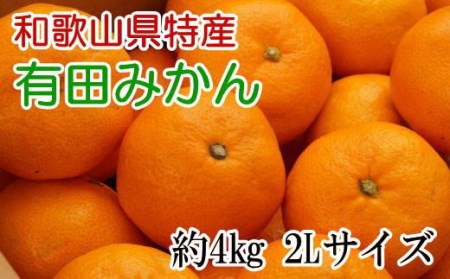 [秀品]和歌山有田みかん約4kg(2Lサイズ) ※2025年11月上旬〜2026年1月下旬頃に順次発送予定(お届け日指定不可) / みかん くだもの フルーツ 柑橘 有田 ありだみかん 有田みかん 和歌山[tec915A]
