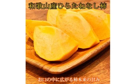 [ご家庭用わけあり]和歌山秋の味覚 平核無柿(ひらたねなしがき) 約3.5kg[uot740]