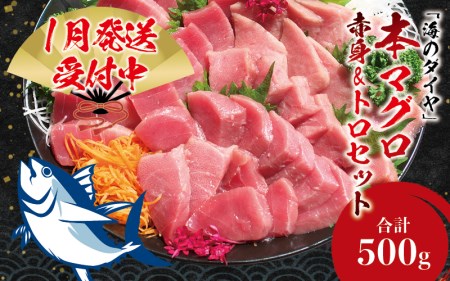 [1月発送]本マグロ(養殖)トロ&赤身セット 500g まぐろ 刺身 鮪 本鮪 クロマグロ 赤身 中とろ [nks110_cp-1]