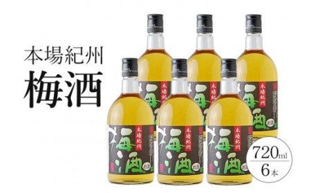 本場紀州梅酒 6本セット[prm016A]