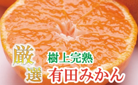 プレミアム有田みかん7.5kg+250g(傷み補償分)11月より発送(完熟)[光センサー選果][ikd020C]
