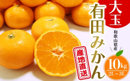 [先行予約] ＼ みかんの名産地 和歌山県産/ 農家直送 大玉 有田みかん 10kg (2L〜3L) ひとつひとつ手選別で厳選[2025年11月下旬頃発送予定]/ みかん 有田みかん 有田 大玉 柑橘 和歌山[hdm001-2A]