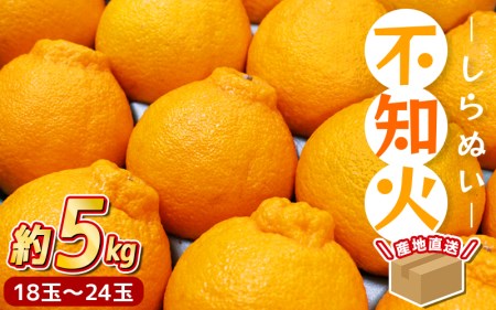 [先行予約] ＼ みかんの名産地 和歌山県産/ 農家直送 不知火 約5kg(18〜24玉) ひとつひとつ手選別で厳選[2025年2月中旬頃発送予定] 不知火 デコポン みかん 果物 フルーツ 柑橘 予約[hdm002A]