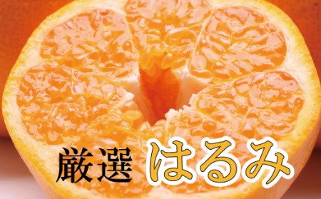 [先行予約]厳選はるみ2.5kg+250g(傷み補償分)[デコポンの姉妹品種・新食感春みかん][光センサー選別]※2026年2月〜3月下旬ごろに順次発送[ikd048C]