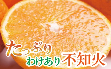 家庭用 不知火3kg+90g(傷み補償分)[デコポンと同品種][わけあり・訳あり][しらぬひみかん・しらぬい][光センサー選別][ikd053B]