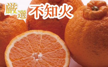 [2月より発送]厳選不知火7.5kg+250g(傷み補償分)[デコポンと同品種・人気の春みかん]/ みかん くだもの フルーツ オレンジ 柑橘 和歌山 おすすめ [ikd054D]