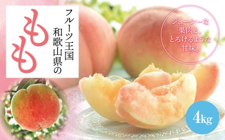 [先行予約][夏の美味][和歌山ブランド]フルーツ王国 和歌山の桃 約4kg ※2025年6月中旬〜7月下旬頃順次発送予定(お届け日指定不可)桃 もも 白桃 白鳳清水 白桃 なつっこ 川中島[ard049B]
