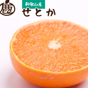 [2月より発送]厳選 せとか1kg+250g(傷み補償分)[柑橘・春みかんの王様][光センサー選果・食べ頃出荷][ikd125C]