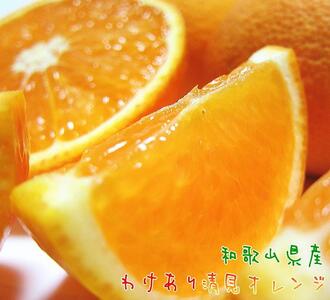 Lc炿 n  IWiƒpj7.5kgms\nmMS34n