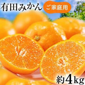 ご家庭用 完熟 有田みかん 約4kg[先行予約 2024年11月下旬〜12月中旬発送 ][訳あり][MS3-2]