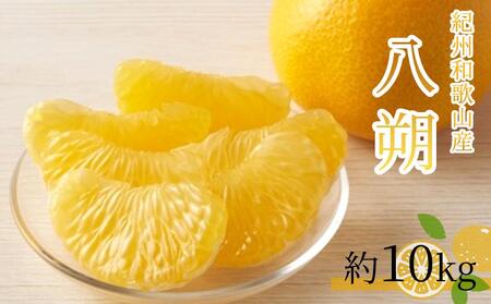 八朔(はっさく)約10kg 紀州和歌山 かつらぎ産[2026年2月上旬頃〜2026年2月下旬頃に順次発送][UT19]