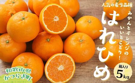 はれひめ(ミカンの希少種) 秀品 約5kg(25個〜30個入)[先行予約][2025年12月中旬頃から発送][KG3]