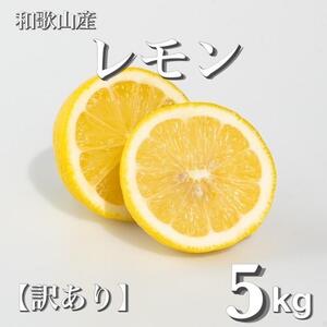和歌山産 レモン 5kg [訳あり] [US1]