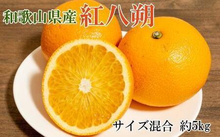 [希少品]和歌山県産紅八朔約5kg(サイズ混合)★2026年1月下旬頃より順次発送[先行予約][TM88]