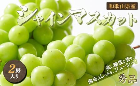 ◆先行予約◆和歌山県産 シャインマスカット 2房入り[秀品][2025年8月中旬以降出荷][MG23]