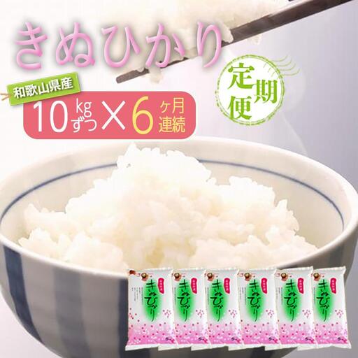 ［お米の定期便／全6回］和歌山県産 米 キヌヒカリ 60kg(10kg×6) 2025年産［SL23］
