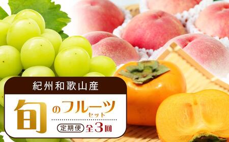 [7・8・10月 全3回]紀州和歌山産旬のフルーツセット(桃・シャイン・ひらたねなし柿)定期便 [魚鶴商店][UT66]
