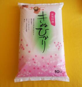 [先行予約]和歌山県産 米 キヌヒカリ 10kg (2025年産)[SL28]