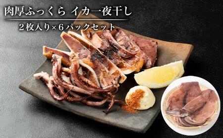 肉厚ふっくら イカ一夜干し2枚入り×6パックセット[一夜干しいか 干しイカ 酒の肴いか 酒の肴 魚介類いか 魚介類 おつまみ おつまみ 那智勝浦 那智勝浦 和歌山特産 一夜干しいか 和歌山特産]