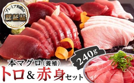 プレミア和歌山認証品 本マグロ(養殖)トロ&赤身セット 240g[鮮魚 まぐろ マグロ 冷凍 まぐろ 新鮮 特産 和歌山 本場 本場 鮮魚 鮮度抜群 魚 産地直送 鮮度抜群 赤身 紀州勝浦 紀州 中とろ 中トロ ]