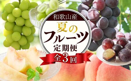 ֑S3 y7E8E9z a̎R̃t[c͂iE˂ȂsI[lEVC}XJbgjyTM180z