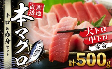 本場南紀から産地直送! 本マグロ トロ+赤身セット 500g | 大トロ 中トロ 鮪 刺身 寿司