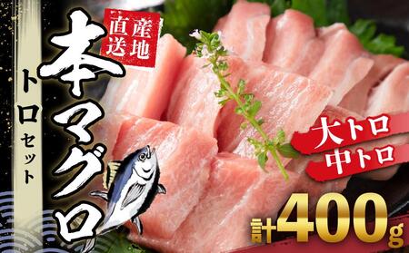 本場南紀から産地直送! 本マグロ トロセット 400g | [年末年始お届け可能]大トロ 中トロ 鮪 刺身 寿司 お正月