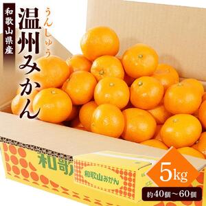 [先行予約][2025年11月初旬頃から順次発送予定] 和歌山県産温州みかん 約5kg(40個〜60個)秀品 こだわり農家厳選![KG31]
