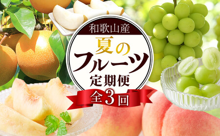 ֑S3 y7E8E9z a̎R̉Ẵt[c͂iEEVC}XJbgj mTM224n