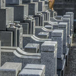 [全12回] お墓掃除定期便