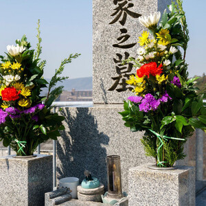 [全12回] お墓掃除定期便+仏花1対