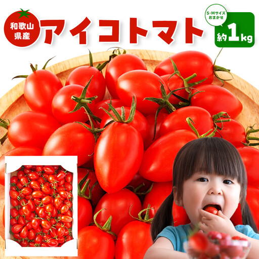 [2026年5月出荷分]和歌山産ミニトマト「アイコトマト」約1kg(S・Mサイズおまかせ)[TM232]