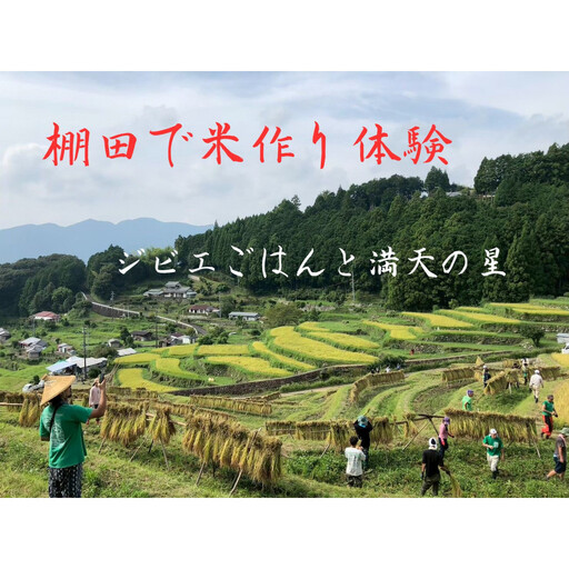 棚田で米作り体験 一般用 (参加チケット1回分)