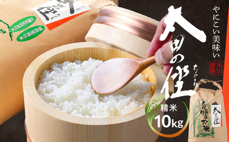 wĉx10kg _͔|EL@엿͔|̃RVqJ