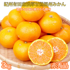 赤秀品 紀州有田産濃厚完熟温州みかん 3kg(MサイズまたはSサイズ)[2026年11月下旬以降発送][先行予約][UT12]