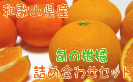 【農家直送】旬の濃厚柑橘詰め合わせセット（ご家庭用）　約４.５kg