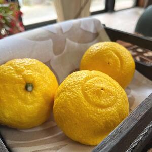 有田育ちの 完熟 はるかみかん(ご家庭用)約3kg[先行予約][MS52]