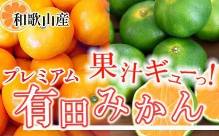 プレミアム 有田みかん2.5kg+250g(傷み補償分)[2025年10月上旬から2026年1月下旬頃順次発送予定]