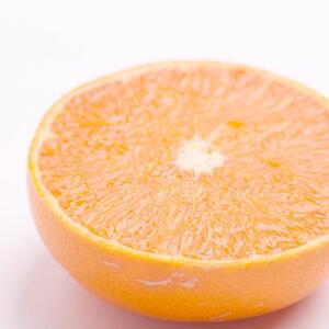 [先行予約]厳選 せとか1kg+250g(傷み補償分)[柑橘・春みかんの王様][光センサー選果・食べ頃出荷][IKE60]