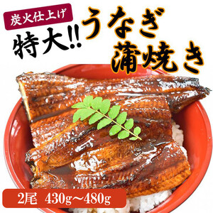 うなぎ蒲焼き2尾入り 430g〜480g(蒲焼たれ4袋 山椒付き)[KS5]