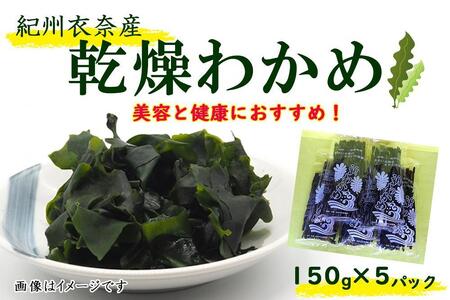 紀州衣奈産乾燥わかめ 150g×5パック（2025年産）【SL13】